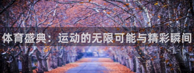 米兰体育官方正版app娱乐网站:体育盛典:运动的无限可能与精