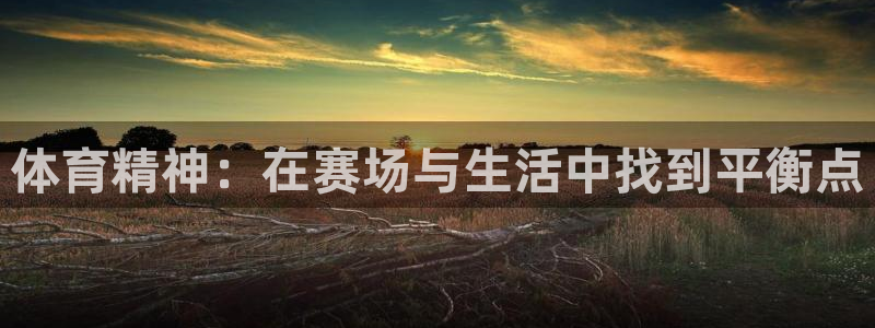 米兰体育官网下载招商电话是多少:体育精神:在赛场与生活中找到